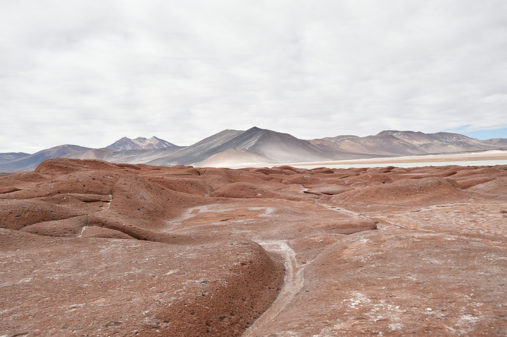 Altiplano árido
